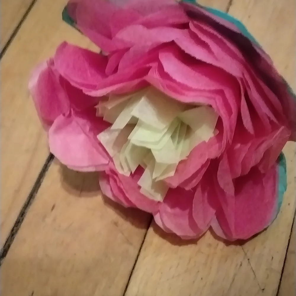 Colorful Tissue Paper Flowers Set
